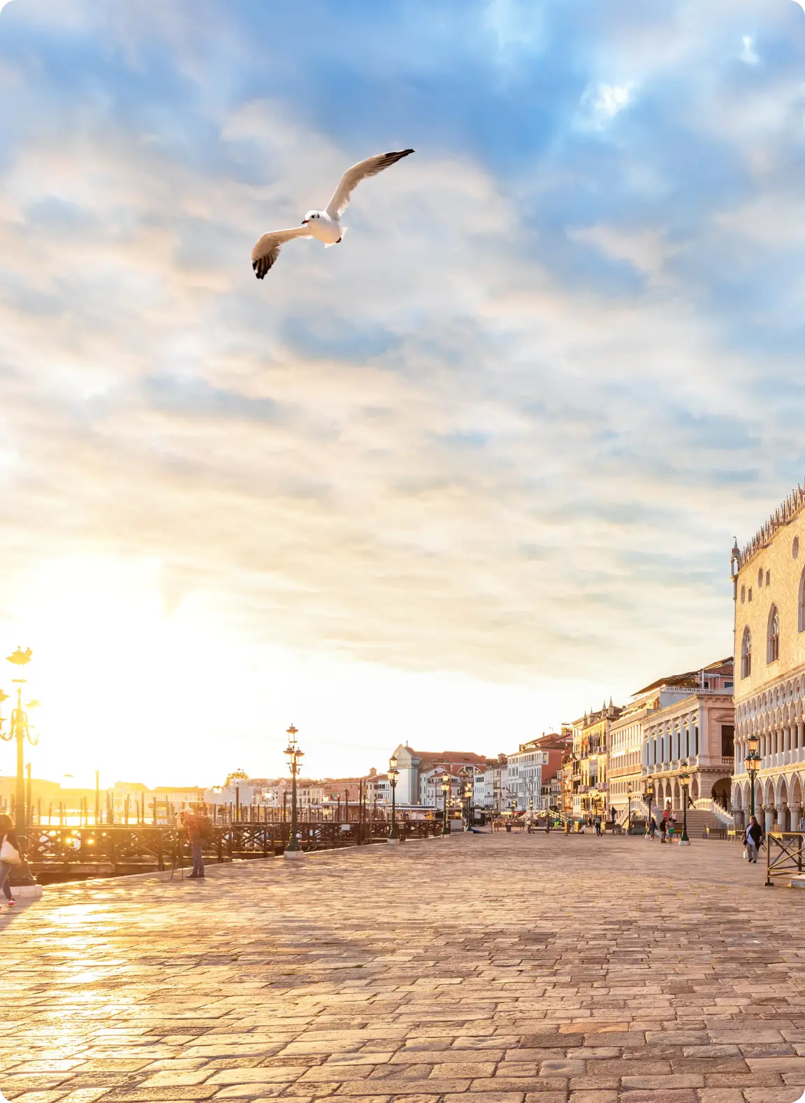 asigurare calatorie tili.ro oferte