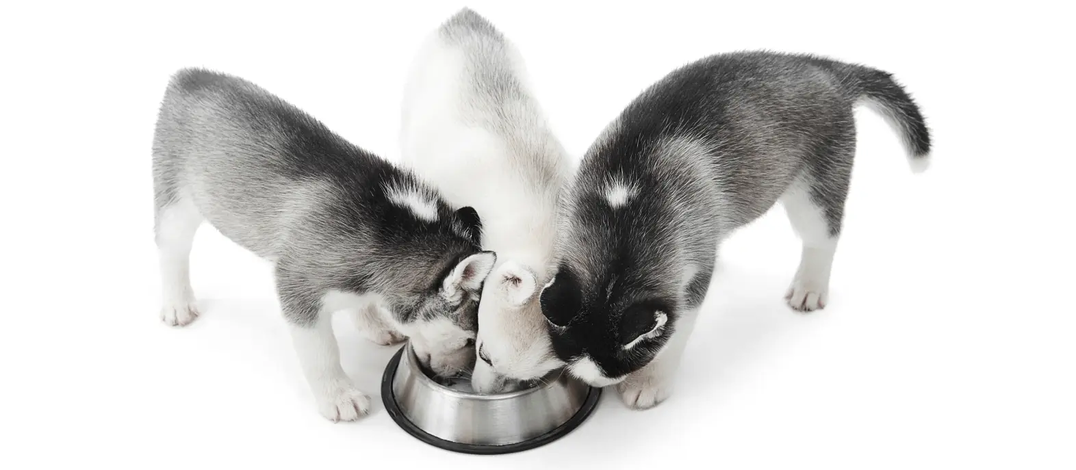 Asigurare online Tili.ro